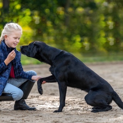 Cão preto a dar a pata a criança loira agachada na areia