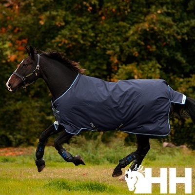 Cavalo preto a correr com manto impermeável azul