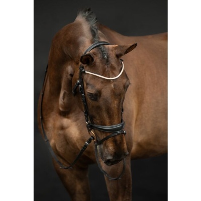 Cavalo castanho com arreio preto e peça branca no centro da testa sobre fundo preto