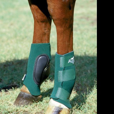 Botas protetoras verdes com velcro em pernas de cavalo sobre relva