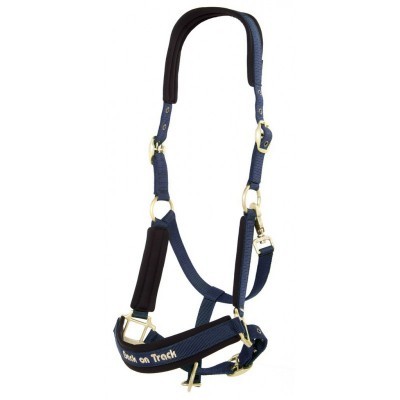 Cabresto azul acolchoado com ferragens douradas e inscrição 'Back on Track'