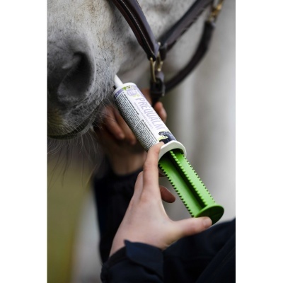 Pessoa a administrar medicamento oral ao nariz de um cavalo cinzento com aplicador branco e verde