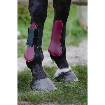 Patas dianteiras de cavalo com proteções vinhas e pretas