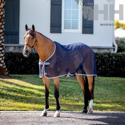 Cavalo castanho com manta azul-marinho com contorno branco em frente a casa branca
