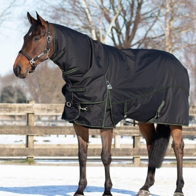 Cavalo com manta preta e costuras verdes em local nevado