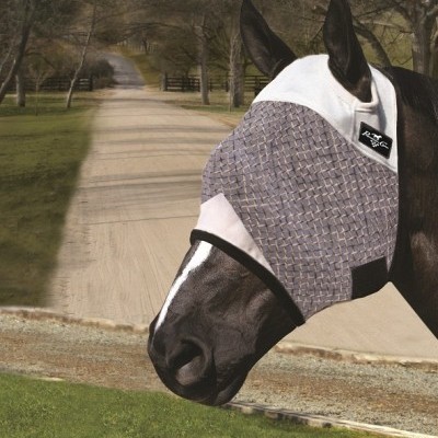 Cavalo preto com máscara de proteção cinza e branca em ambiente exterior