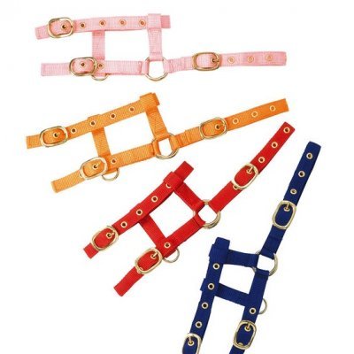 Quatro peitorais de nylon em rosa, laranja, vermelho e azul com ferragens douradas