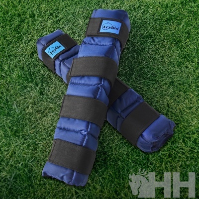 Proteções para cavalos azuis com fechos de velcro pretos sobre relva