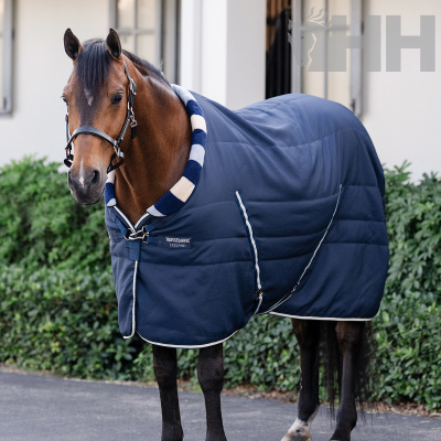 Cavalo com mantilha acolchoada azul escura e gola riscada em azul e branco em ambiente exterior