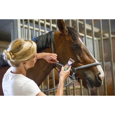 Mulher aplica spray na cabeça de cavalo castanho em estábulo