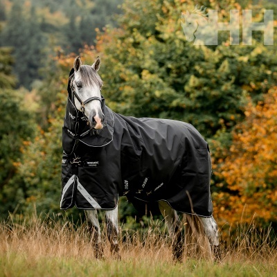 Cavalo cinzento com manta preta impermeável em ambiente natural outonal