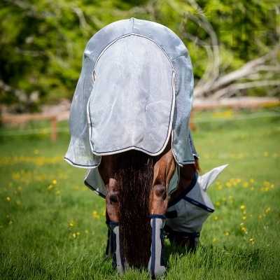 Cavalo com máscara de malha e proteções nas patas num campo verde