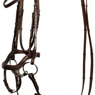 Freio de cavalo em couro castanho escuro com acessórios metálicos