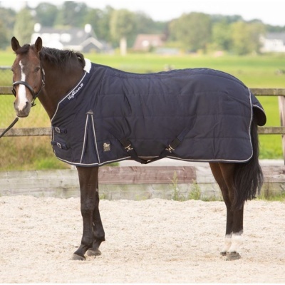 Cavalo com manta azul escuro junto a cerca de madeira