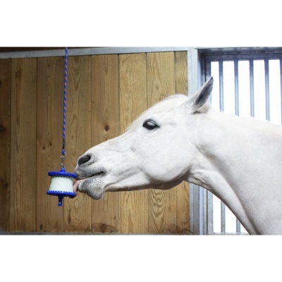 Cavalo branco perto de brinquedo pendurado em box com paredes de madeira