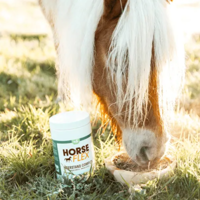 Frasco de suplemento Horse Flex ao lado de cavalo castanho com crina branca a beber na tigela no relvado
