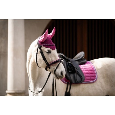 Cavalo branco com arreio preto e manta rosa em ambiente estável.