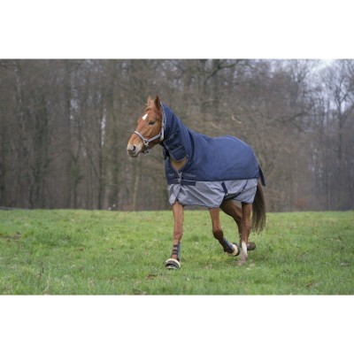 Cavalo com roupa de inverno azul e cinza a pastar numa área verde