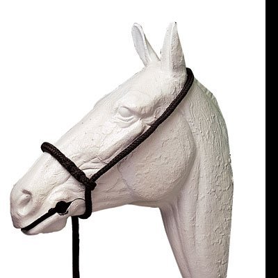 Cabeça de cavalo branco com corda preta na boca