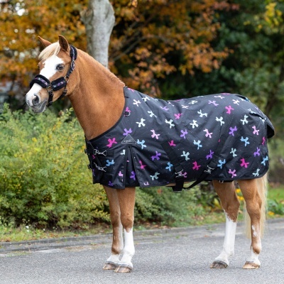 Cavalo com manta preta estampada e peitoral acolchoado em cenário exterior de outono