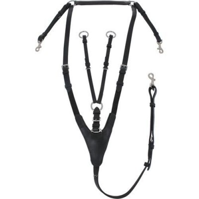 Arnês preto para cavalo com fivelas e argolas metálicas