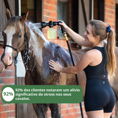 Mulher a lavar cavalo com mangueira e espuma junto a estábulo de tijolos.