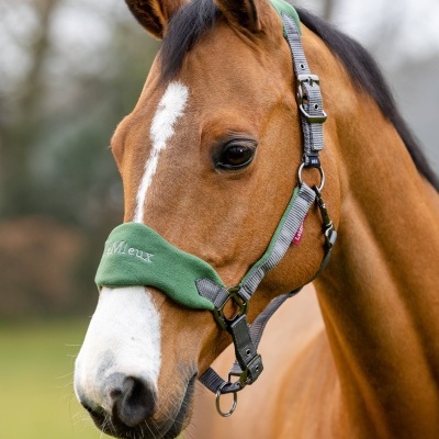 Cavalo castanho com cabeçada verde com a palavra 'LeMieux', ao ar livre
