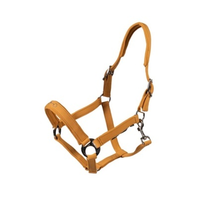 Cabresto para cavalo amarelo com argolas metálicas