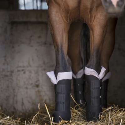Pernas de cavalo com botas de proteção pretas e peúgas brancas dentro de estábulo