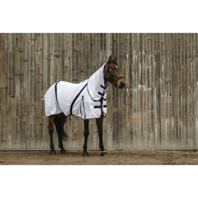 Cavalo castanho com manta branca e proteções pretas em frente a parede de madeira