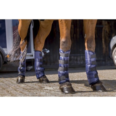Pernas de cavalo com proteções azuis de velcro nas quatro pernas