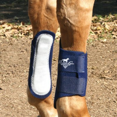 Botas de proteção azuis nas patas dianteiras de um cavalo