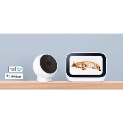 Duas câmaras de videovigilância doméstica com ecrã a mostrar um gato a dormir