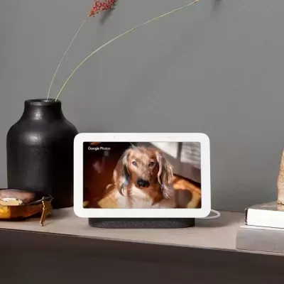 Ecrã digital branco Google Nest Hub numa prateleira com foto de cão e objetos decorativos