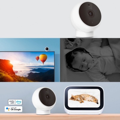 Câmara de vigilância branca redonda, monitor com imagens a cores e a preto e branco, e monitor digital com imagem de gato dormente