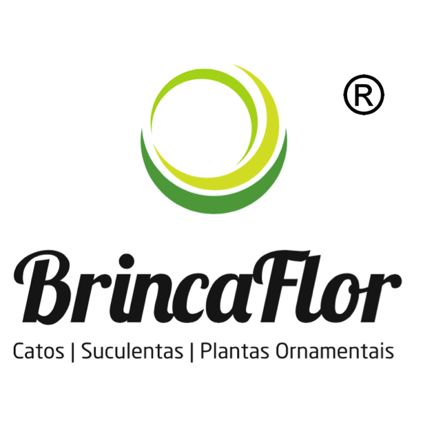 Viveiros Brincaflor