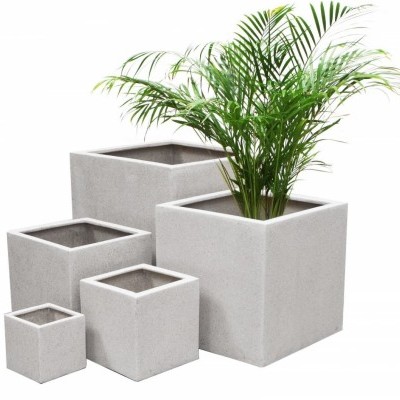 Conjunto de cinco vasos quadrados cinza claro com planta em fundo branco