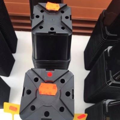 Vasos de plantas pretos quadrados com marcadores amarelos e etiquetas laranja num fundo laranja