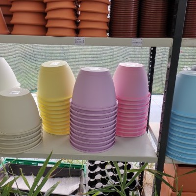 Conjuntos de vasos de plástico de várias cores pastel empilhados em prateleiras numa loja