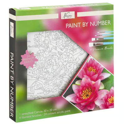 Conjunto de pintura por números com tela, pincéis e tintas em caixa colorida.