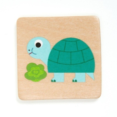 Peça de madeira com desenho de tartaruga e planta