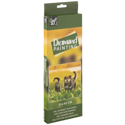 Embalagem de kit Diamond Painting com imagem de gato e cão na relva