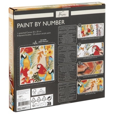 Conjunto Paint by Number com papagaios coloridos e flores tropicais