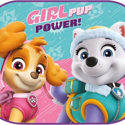Personagens caninos animados com roupa rosa e azul, texto GIRL PUP POWER!