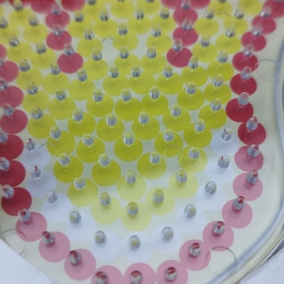 Táboa plástica transparente com pregos coloridos em forma de flor