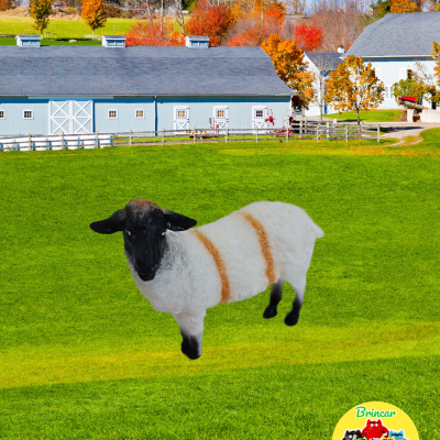 Ovelha sobre campo verde com celeiro azul e selo Brincar Amor