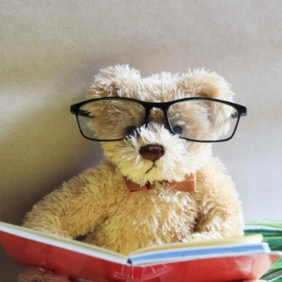 Urso de pelúcia sentado a ler um livro com óculos.