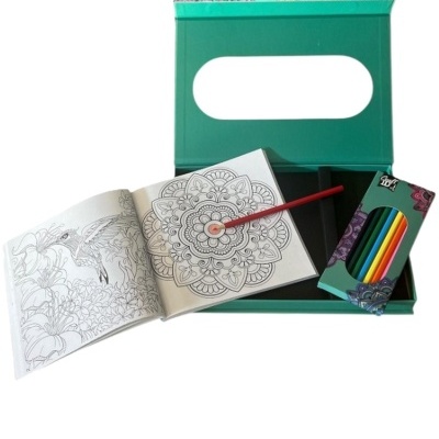 Conjunto de pintura com caderno para colorir, pincel vermelho e lápis coloridos em caixa verde