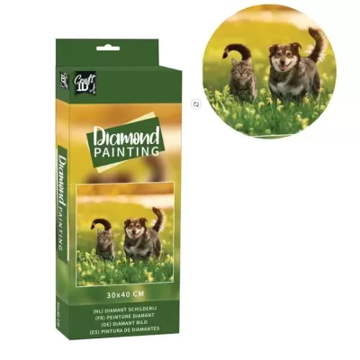 Embalagem de pintura de diamante com imagem de gato e cão num campo verde flores amarelas