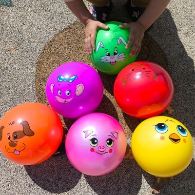 Seis bolas coloridas com rostos de animais desenhados, em pavimento exterior